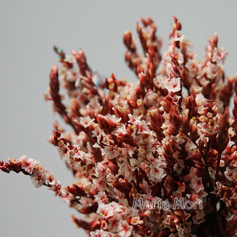 Candle Making Los Angeles - 5g/ Colorful Dired Preserved Crystal Grass