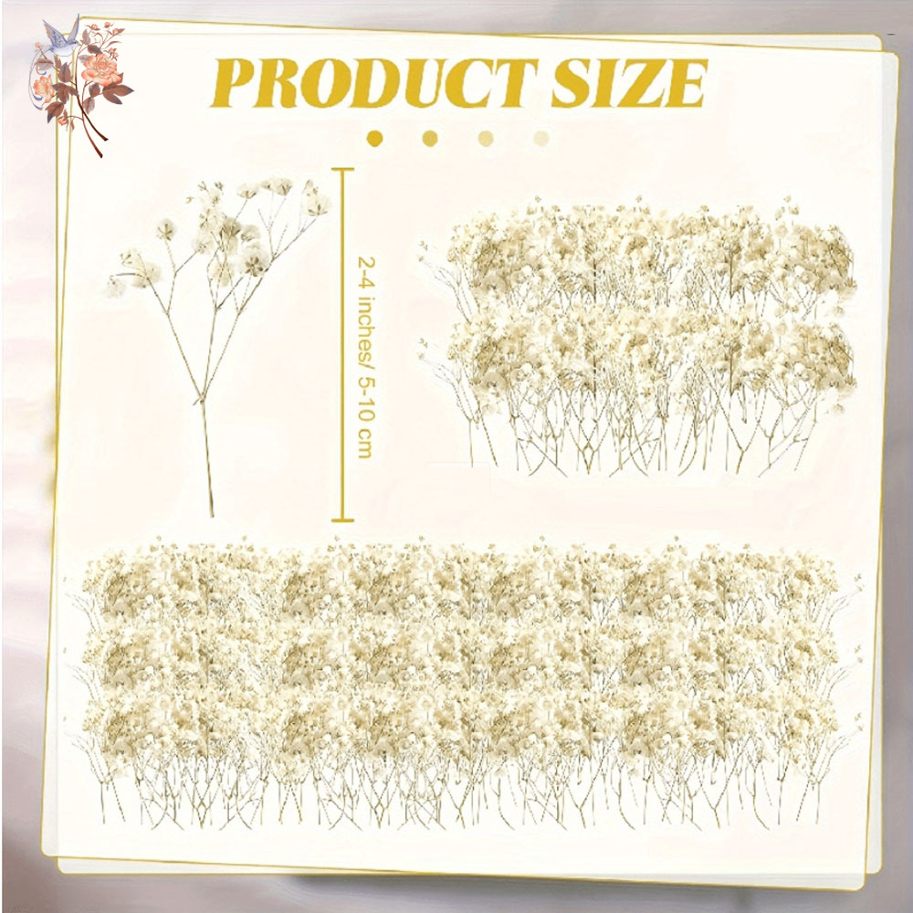 Mini Dried Gypsophila Flower D - Candle Making Los Angeles review and price