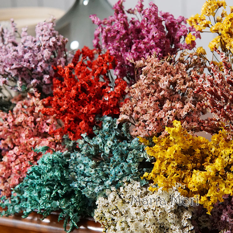 5g/ Colorful Dired Preserved C - Candle Making Los Angeles review and price