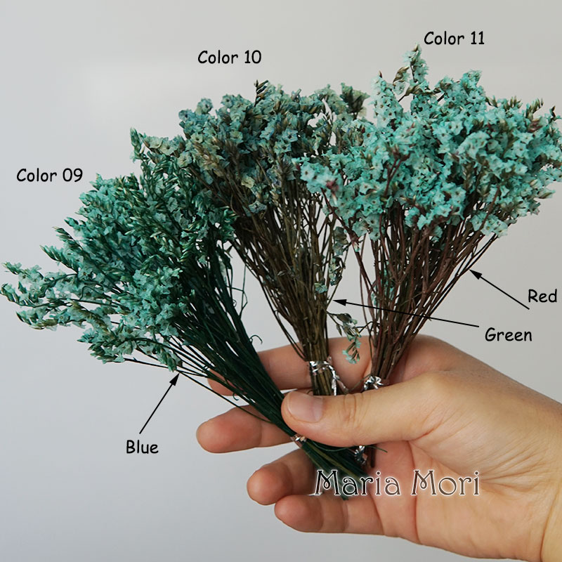 5g/ Colorful Dired Preserved C - Candle Making Los Angeles review and price