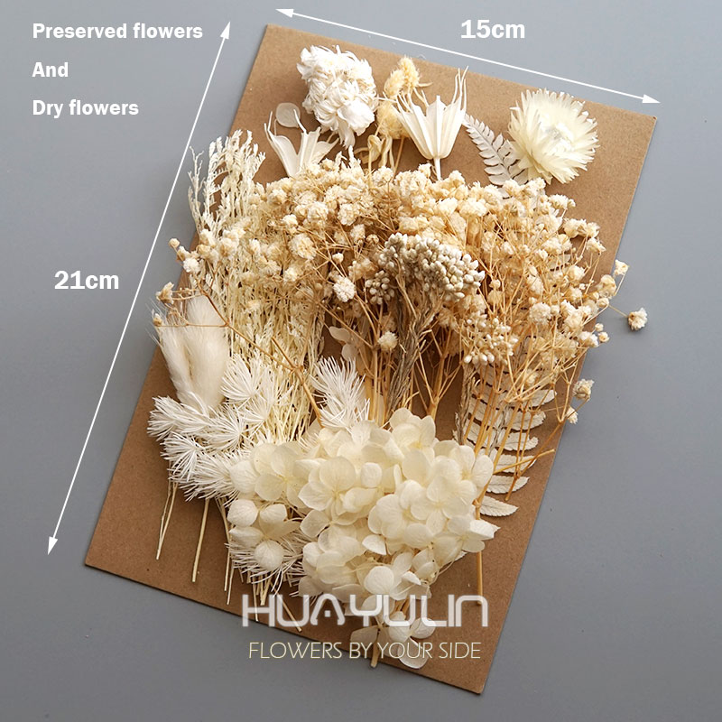 1 Pack Artificial Plants Dried - Candle Making Los Angeles review and price